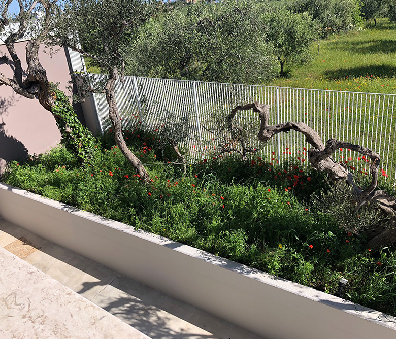 giardino